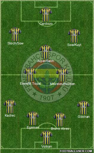 Fenerbahçe SK Formation 2013