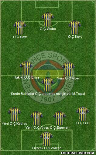 Fenerbahçe SK Formation 2013