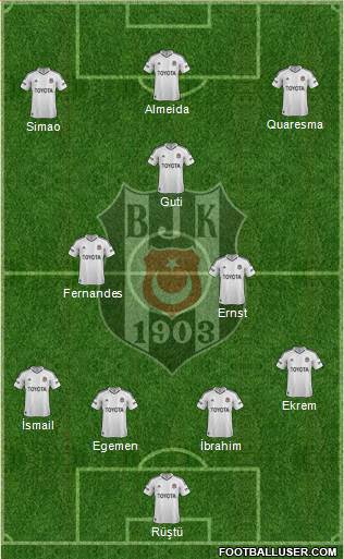 Besiktas JK Formation 2013
