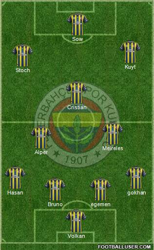 Fenerbahçe SK Formation 2013