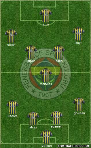 Fenerbahçe SK Formation 2013