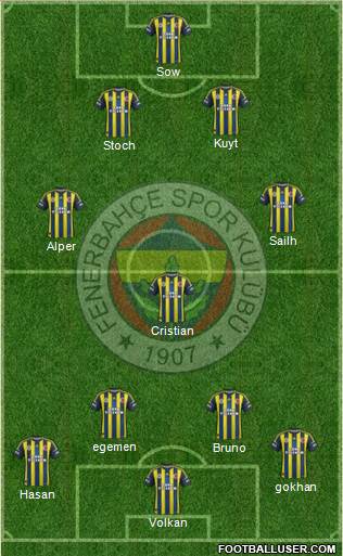 Fenerbahçe SK Formation 2013
