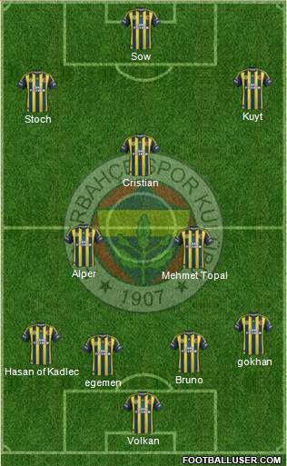 Fenerbahçe SK Formation 2013