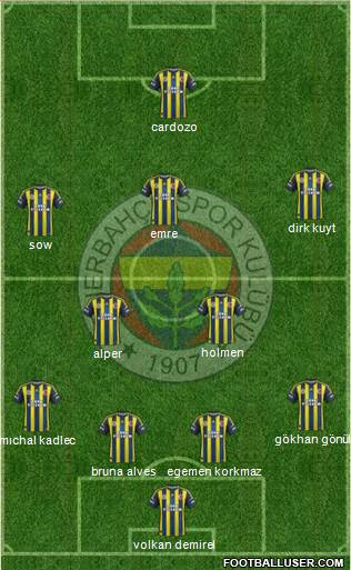 Fenerbahçe SK Formation 2013