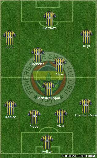 Fenerbahçe SK Formation 2013