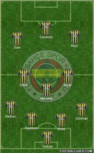 Fenerbahçe SK Formation 2013