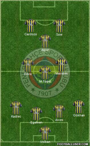 Fenerbahçe SK Formation 2013