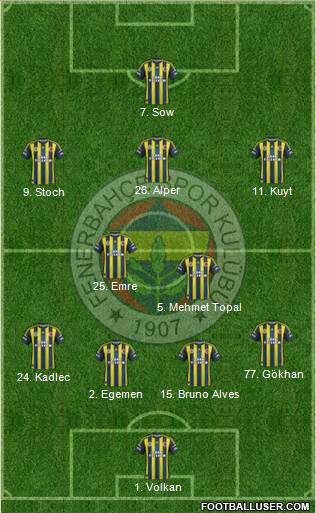Fenerbahçe SK Formation 2013