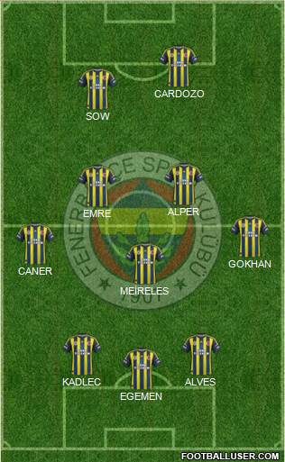 Fenerbahçe SK Formation 2013