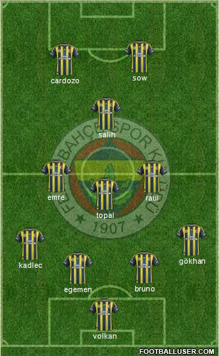 Fenerbahçe SK Formation 2013