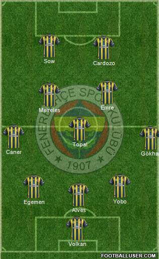Fenerbahçe SK Formation 2013