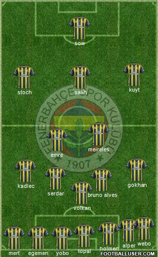 Fenerbahçe SK Formation 2013