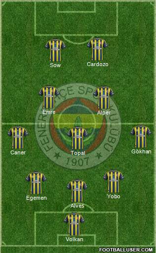 Fenerbahçe SK Formation 2013