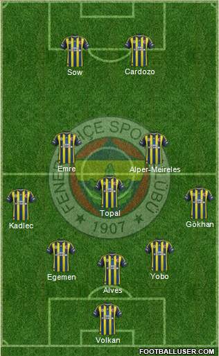 Fenerbahçe SK Formation 2013
