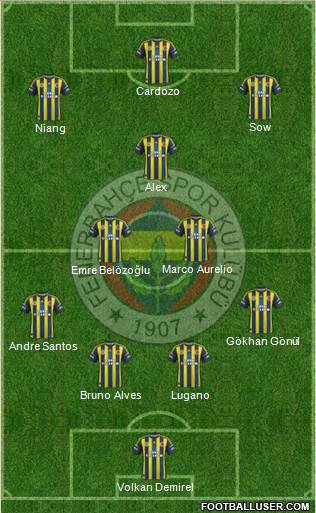Fenerbahçe SK Formation 2013