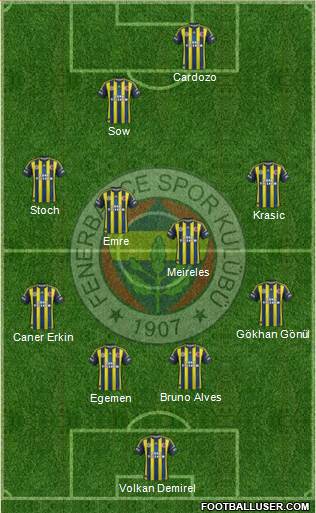 Fenerbahçe SK Formation 2013