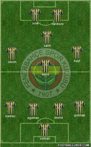 Fenerbahçe SK Formation 2013