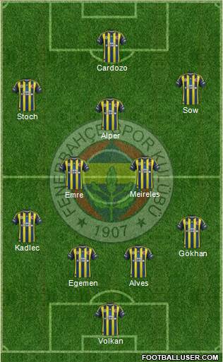Fenerbahçe SK Formation 2013
