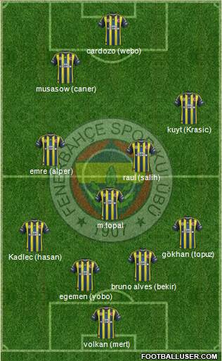 Fenerbahçe SK Formation 2013