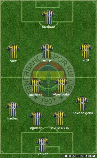 Fenerbahçe SK Formation 2013