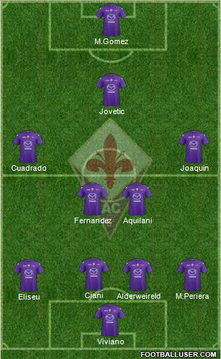 Fiorentina Formation 2013