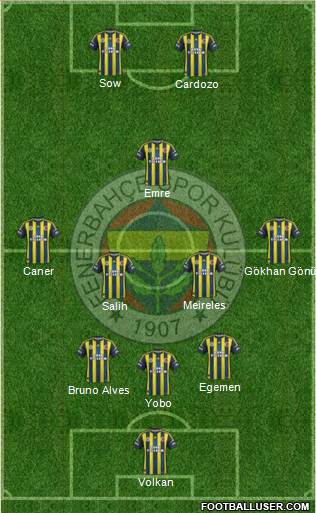 Fenerbahçe SK Formation 2013