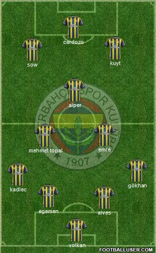 Fenerbahçe SK Formation 2013