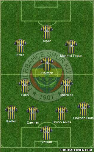 Fenerbahçe SK Formation 2013