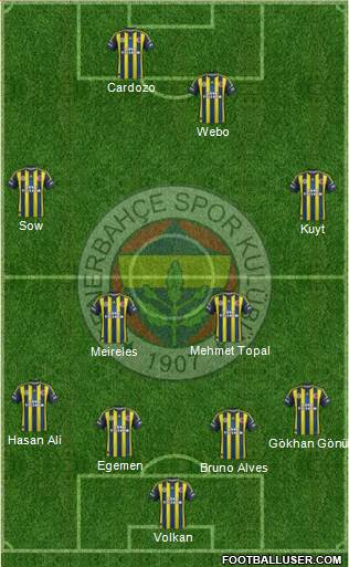 Fenerbahçe SK Formation 2013
