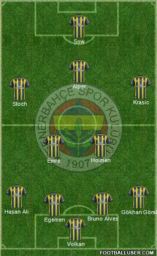 Fenerbahçe SK Formation 2013
