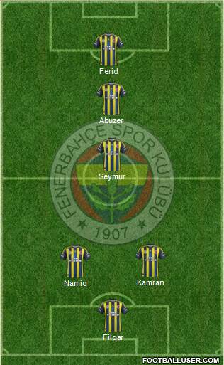 Fenerbahçe SK Formation 2013