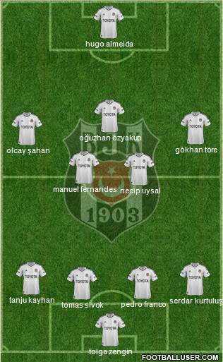Besiktas JK Formation 2013