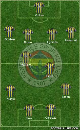 Fenerbahçe SK Formation 2013