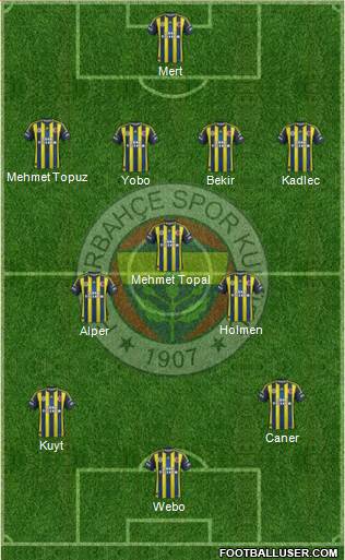 Fenerbahçe SK Formation 2013