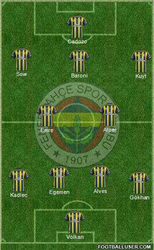Fenerbahçe SK Formation 2013