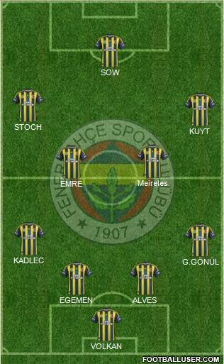 Fenerbahçe SK Formation 2013