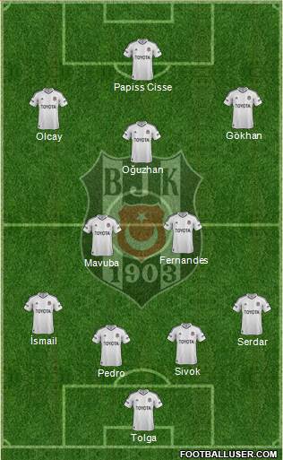Besiktas JK Formation 2013
