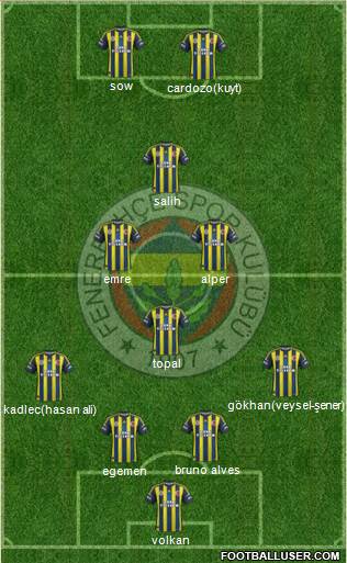 Fenerbahçe SK Formation 2013