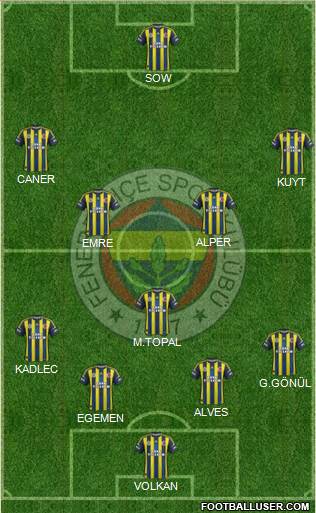 Fenerbahçe SK Formation 2013