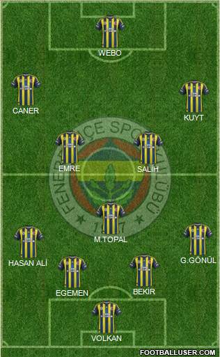 Fenerbahçe SK Formation 2013