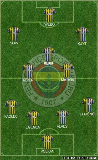 Fenerbahçe SK Formation 2013