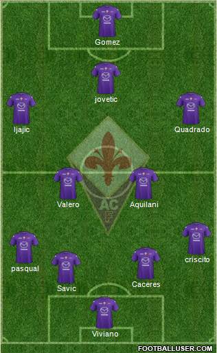 Fiorentina Formation 2013