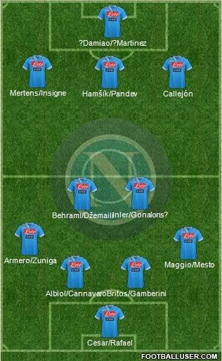 Napoli Formation 2013