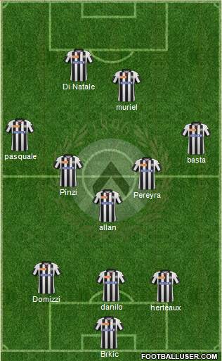 Udinese Formation 2013