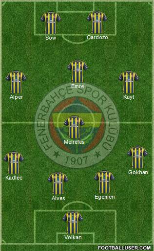 Fenerbahçe SK Formation 2013