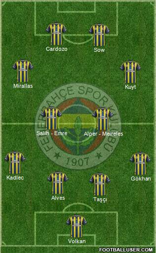 Fenerbahçe SK Formation 2013