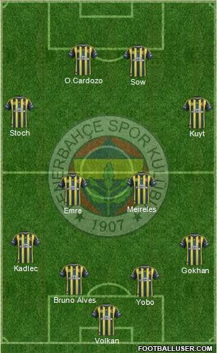 Fenerbahçe SK Formation 2013