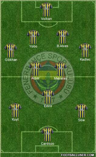 Fenerbahçe SK Formation 2013