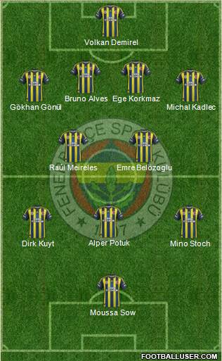 Fenerbahçe SK Formation 2013