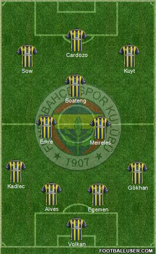 Fenerbahçe SK Formation 2013